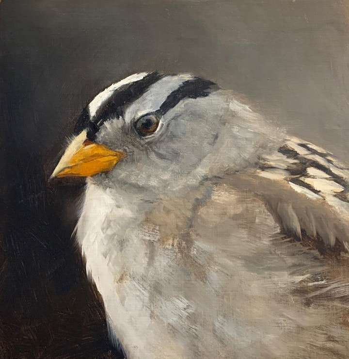 painting-white-crowned-sparrow
